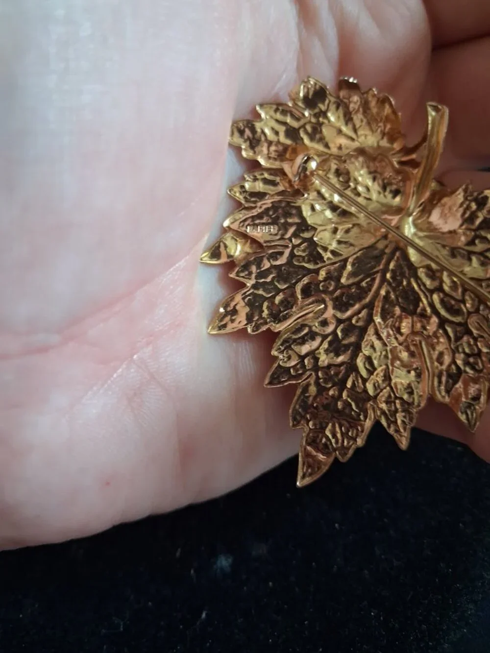Napier Leaf brooch